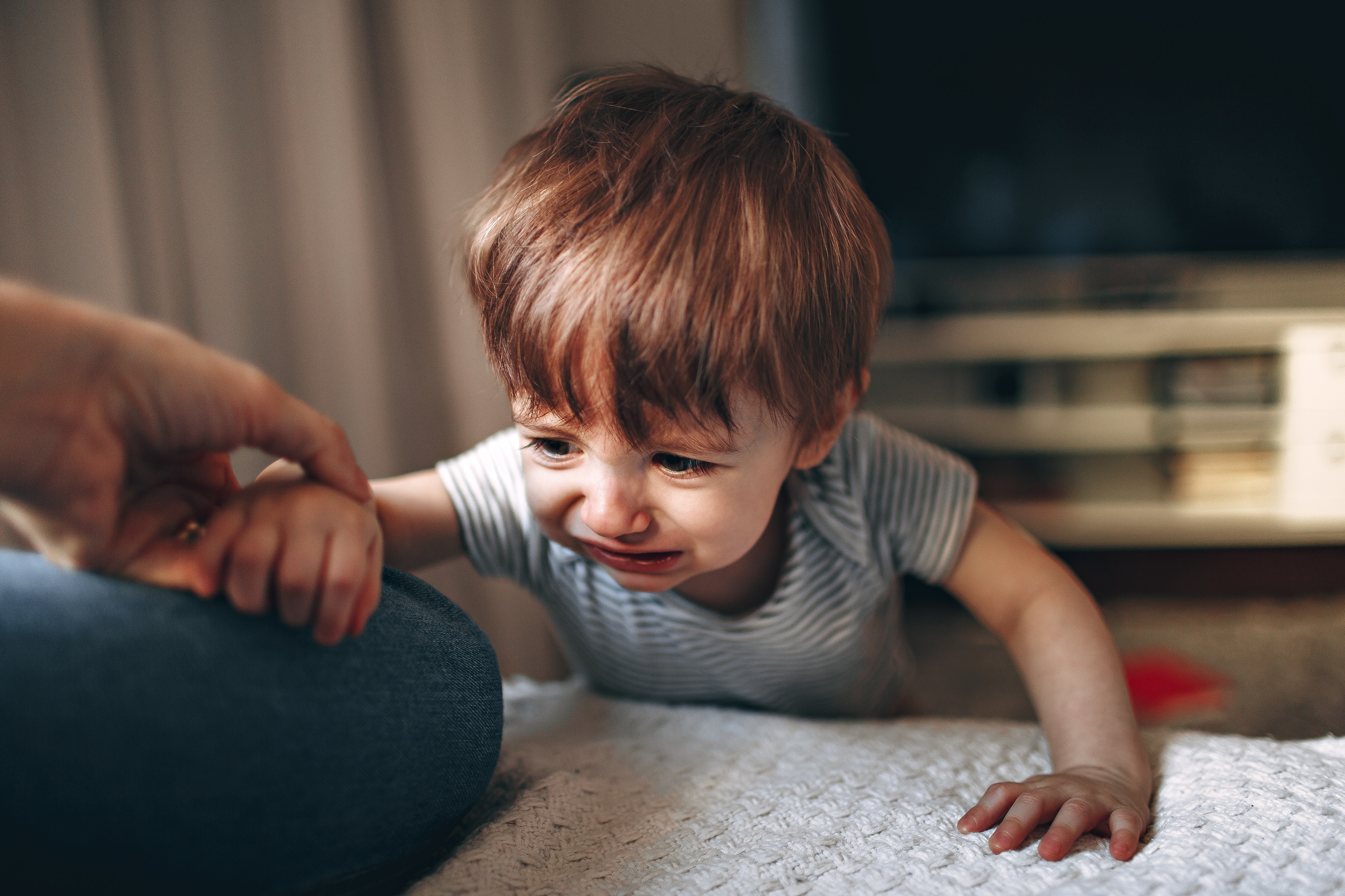 Upset toddler reaching for a parent's hand, needing comfort during a sleep regression